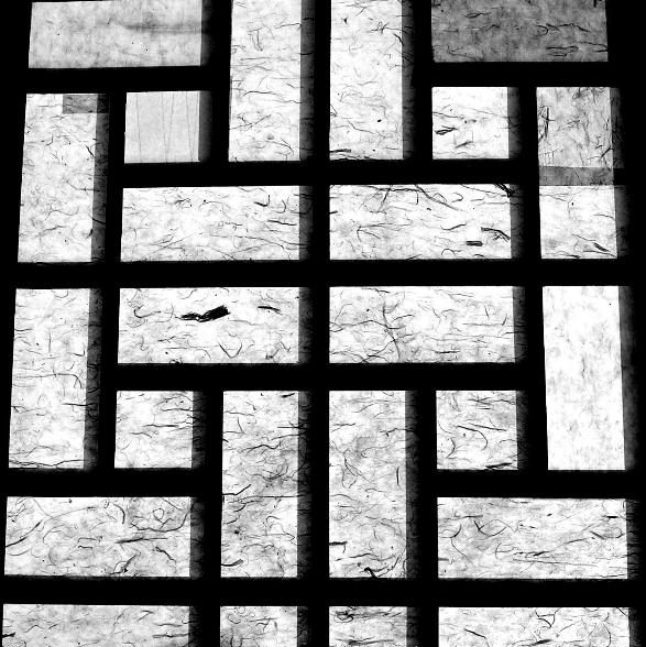 Hanji: The Paper That Traps Light — Part 1: Surface